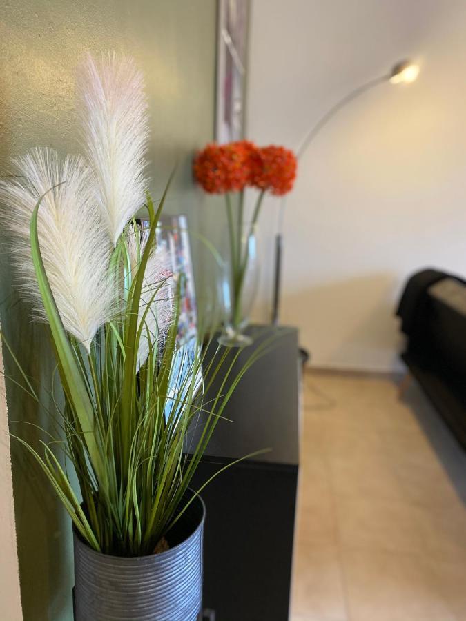 Appartements Vue Mer 생플로랑 외부 사진